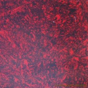 TORTOISESHELL PICKGUARD MATERIAL STRAT SIZE 24x31cm