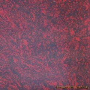 PICKGUARD MATERIAL TORTOISESHELL 24x24CM