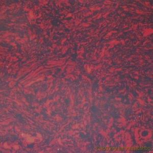 PICKGUARD LARGE SHEET TORTOISESHELL